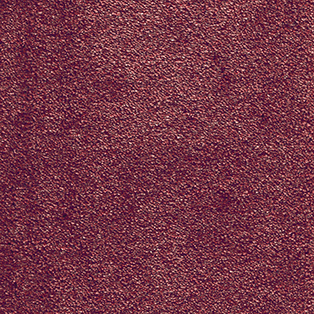 Fb. 11