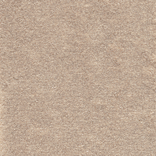 Fb. 36