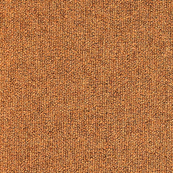 Fb. 55 
