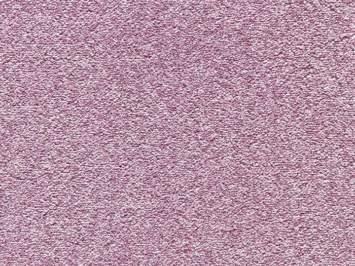 Fb. 500