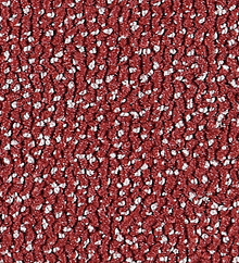 Fb. 170