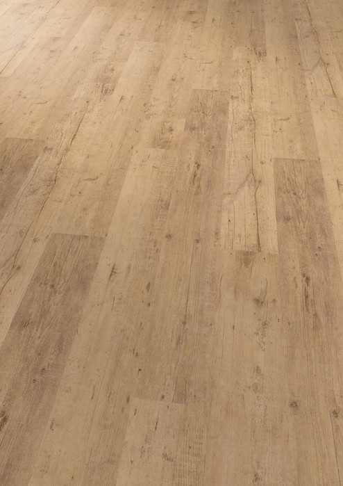 4078 Shoreline Oak