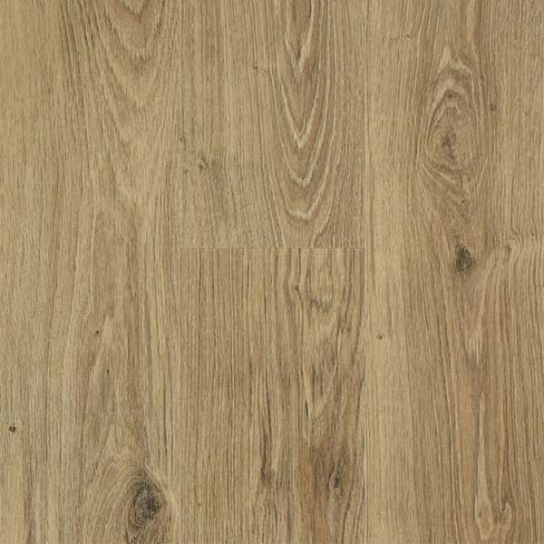 Oak_Honey