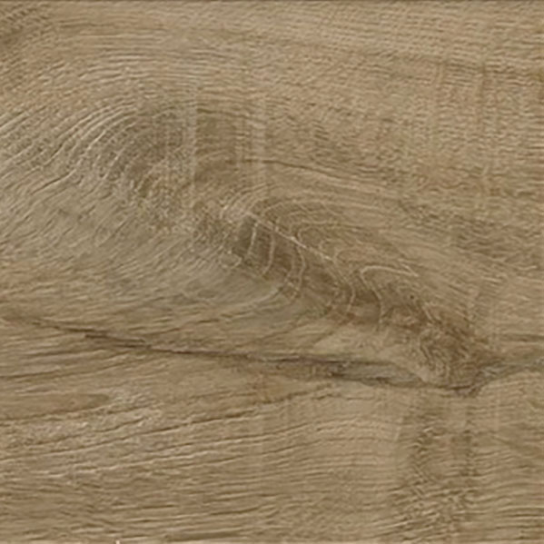 oak_nature