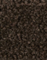 Preview: Saxony Velour braun
