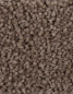 Preview: Saxony Velour schlamm