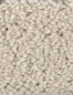 Preview: Saxony Velour beige