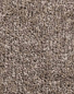 Preview: Saxony Velour sand