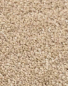 Preview: Saxony Velour beige