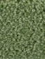 Preview: Saxony Velour grasgrün