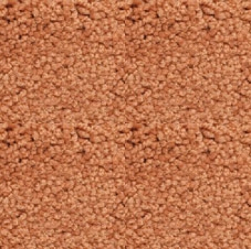 Girloon Kräuselvelours Body1