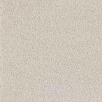 Bangor Velour in hellbeige nur solange Vorrat reicht.