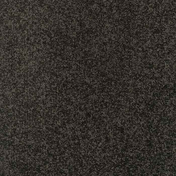 Chiffon - Frise` Velour
