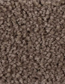 Saxony Velour schlamm