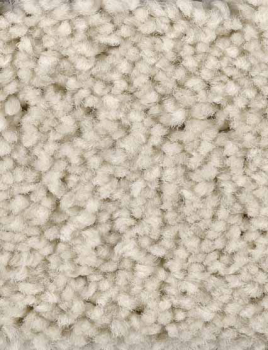 Saxony Velour beige