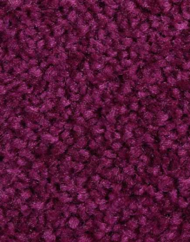 Saxony Velour fuchsia