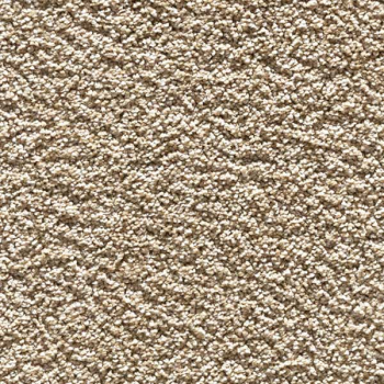 Gloriana  1/8 " Hochflor in modernen Farben.