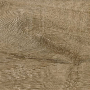 oak_nature