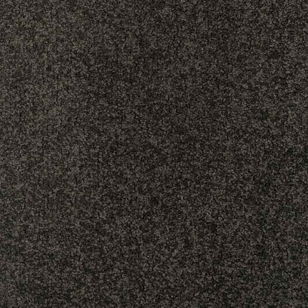 Chiffon - Frise` Velour