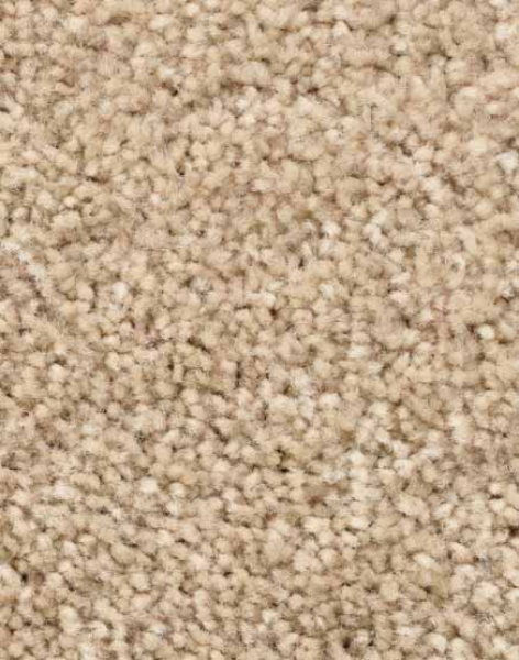 Saxony Velour beige