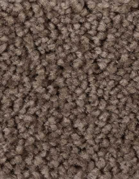 Saxony Velour schlamm
