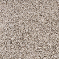 Jaipur_260_beige